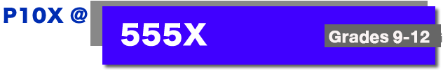 P10X @ 555X